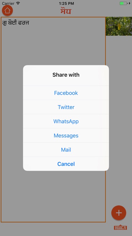 Punjabi Diary screenshot-4