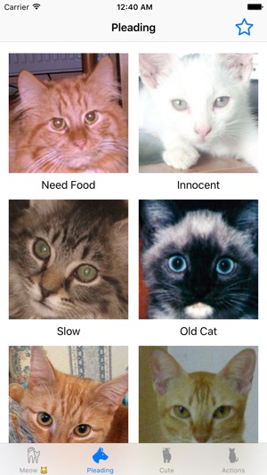 Cat Sound For Cat Lovers On The App Store
