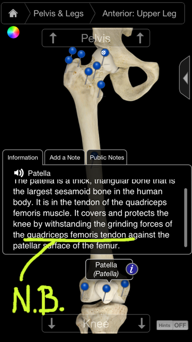 Skeleton System Pro III - iPhone Edition Screenshot 2