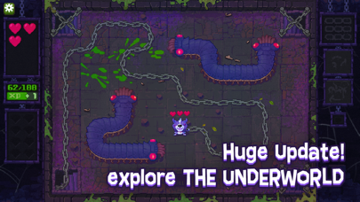 Fidel Dungeon Rescue Screenshot 4