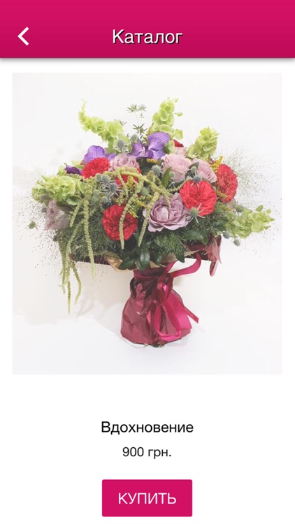 Артишок - Цветы Одесса screenshot-3