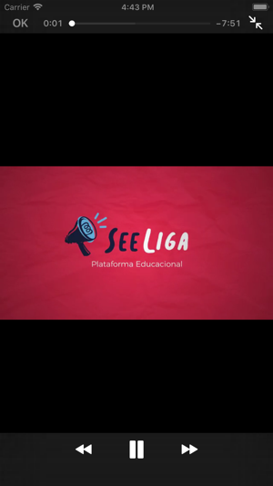 SeeLiga(圖9)-速報App