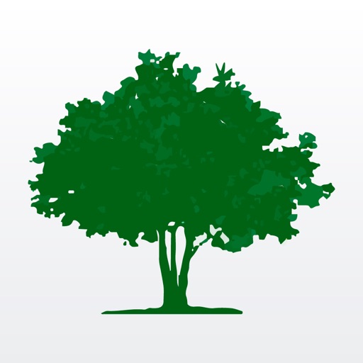 Rohi International Education