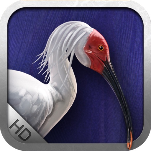 Birds -by Rye Studio™ Icon