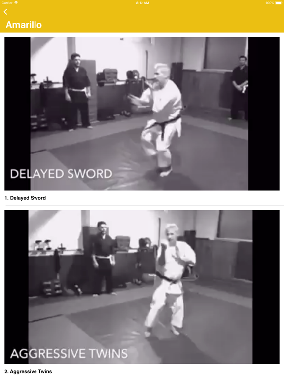 Screenshot #5 pour KenpoSensei