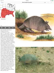 mammals of north america ipad images 2
