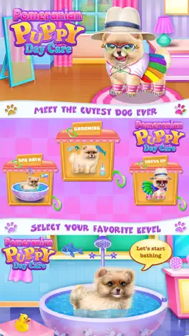 Game screenshot Pomeranian Puppy Day Care mod apk