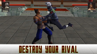 Karate Fighting Warrior 3D screenshot 2