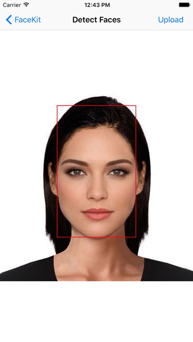 FaceKit - face detection screenshot 2