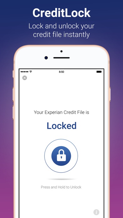 Experian IdentityWorks screenshot 2