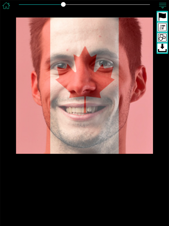 Screenshot #4 pour Flag My Picture