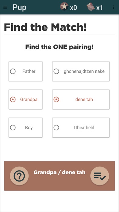 Saysi Dene Language Game screenshot 4