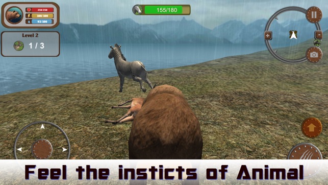Wild Bear 3D Hunting Simulator(圖1)-速報App