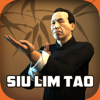 Ip Man Wing Chun Kung Fu : SLT - Sakari Games