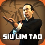 Ip Man Wing Chun Kung Fu  SLT
