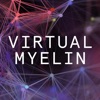 Virtual Myelin