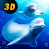 Beluga Whale Simulator