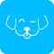 Woofy is a social media management app designed for business professionals seeking to manage their digital content efforts online