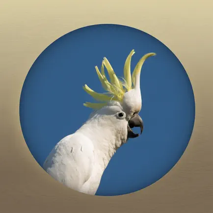 Field Guide to the Budj Bim Cultural Landscape Cheats