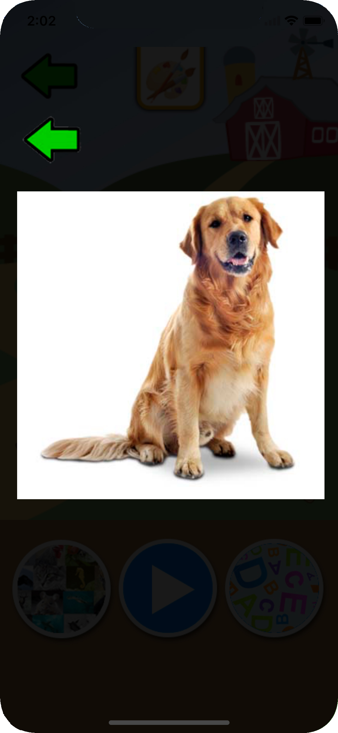 Knowing the Animals