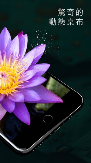 动态壁纸 HD(圖2)-速報App