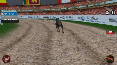 Dog Racing Tournament 2018 screenshot 2