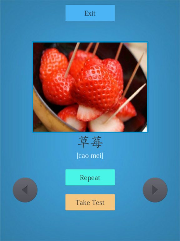 Learn Chinese Easily iPad screenshot 4 - Education app