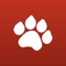 The #1 Cat App for Cat Lovers