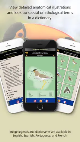 Game screenshot Birds of South America hack