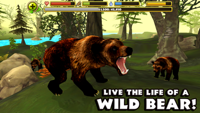 Wildlife Simulator: Bear screenshot 1