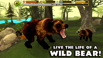 Wildlife Simulator: Bear Screenshot 1