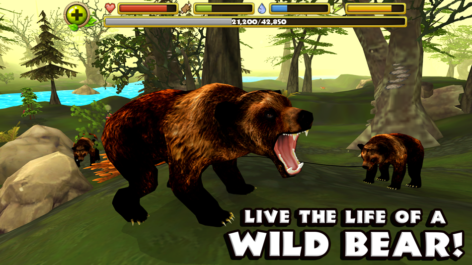 Wildlife Simulator: Bear - 1.1 - (iOS)