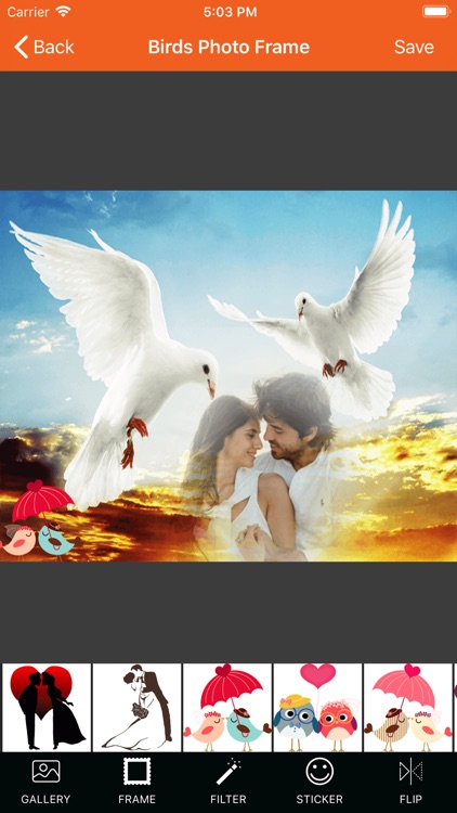 Bird Photo Frames screenshot-3