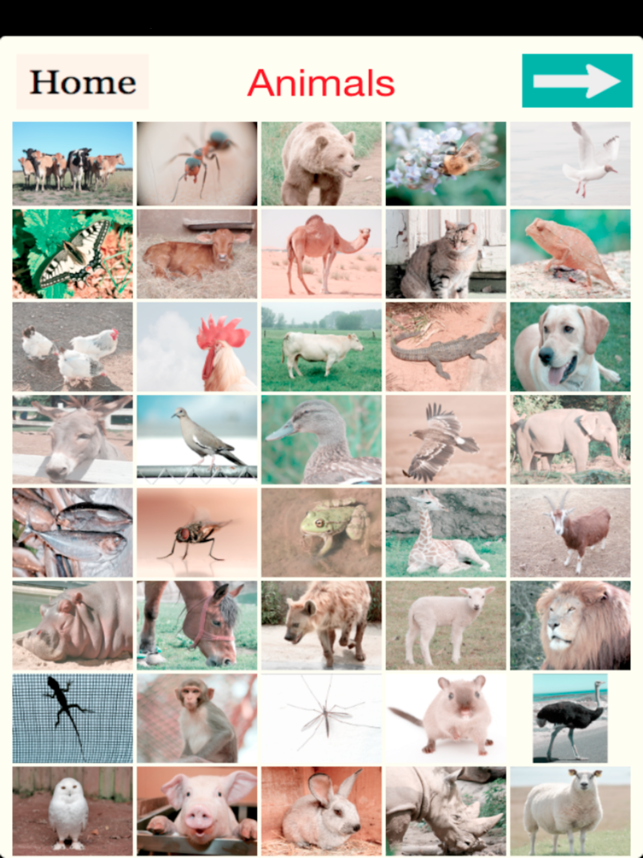 Tigrigna Animals &Nature Audio(圖2)-速報App