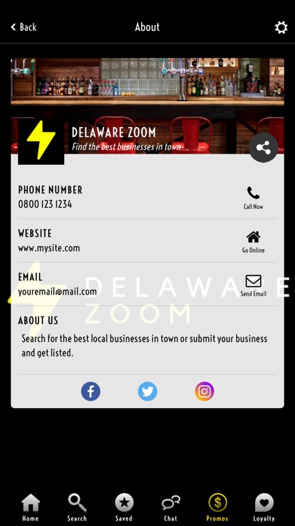 Delaware Zoom screenshot-4