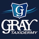 Gray Taxidermy