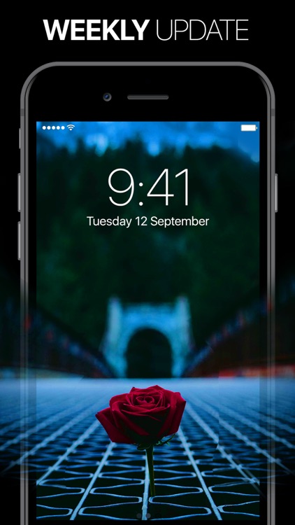Live Wallpapers screenshot-3