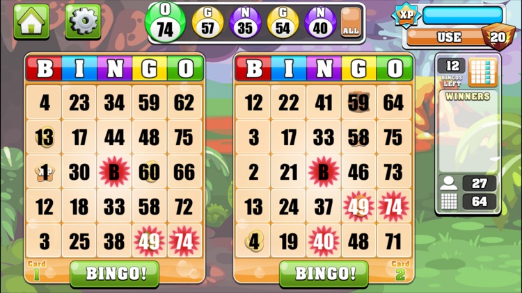 Bingo Casino - Las Vegas Bingo