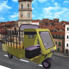 Activities of Rickshaw Cargo Transport