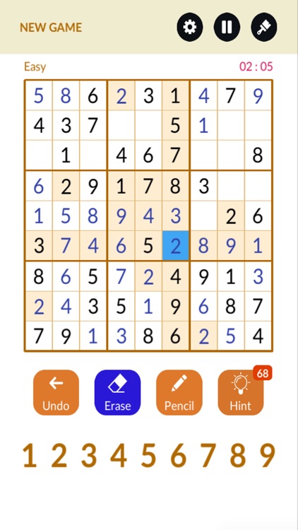 Sudoku Number Puzzle