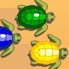 Activities of Turtle Dash