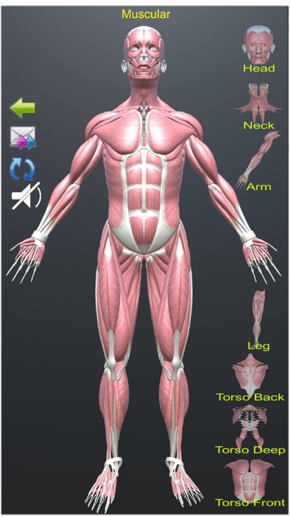 Human Anatomy Encyclopedia 3D