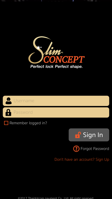 Slim Concept screenshot 2