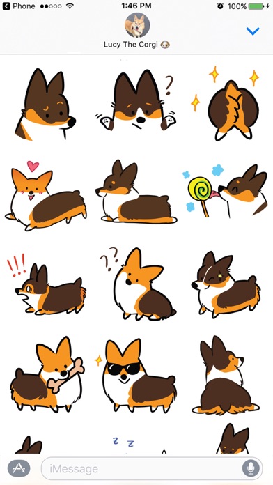 Tricolor Corgimoji Screenshot 4 - AppWisp.com Tricolor Corgimoji Screenshot 4 - AppWisp.com