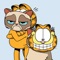 GARFIELD & GRUMPY CAT