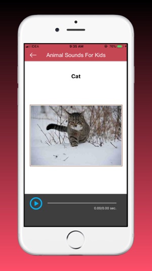 Animal Sounds And Music(圖3)-速報App