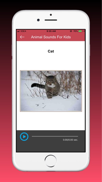 Animal Sounds And Music