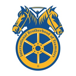 Local 804