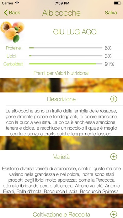 Di Stagione - Frutta e Verdura Screenshot