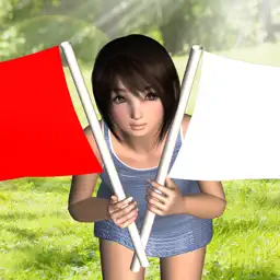 Raise Flags app icon